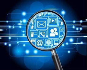 钗荆裙布 第5页