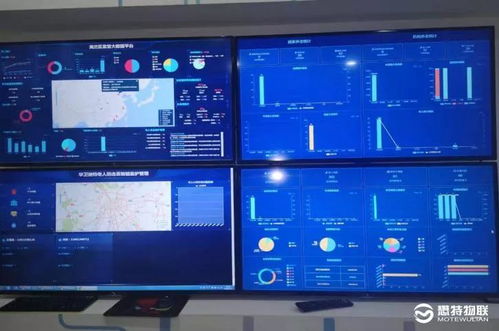 蜻蜓老版本,可靠解答解析说明&amp;WP1_v9.780