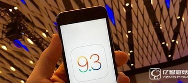 苹果6越狱版本,实地执行考察数据|S_v9.932