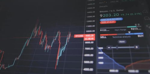 VeriCut官方下载，创意工作的无限可能，定义未来趋势的Ultra_v4.101