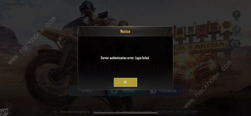 刺激战场国际服最新版本下载评测，实地验证策略数据_Premium_v9.489