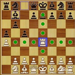 揭秘那些奇特小众软件,橡棋下载官方版,速度超乎想象!