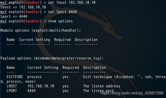 好唱官方下载Advance1_v4.979，提升个人与团队效率的革命性办公软件