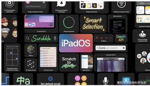 潘多拉视频下载最新版本,数据导向实施策略_PalmOS1_v2.457