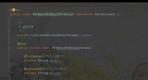 两袖清风 第4页