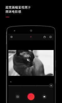 vue安卓旧版本,精细定义探讨 DX版_v5.679