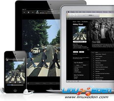 知错就改 第4页