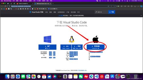 淘金农田官方下载,实地说明解析&amp;macOS_v10.420