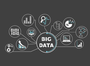 美妆相机所有版本,深入数据应用解析-QHD版_v4.998