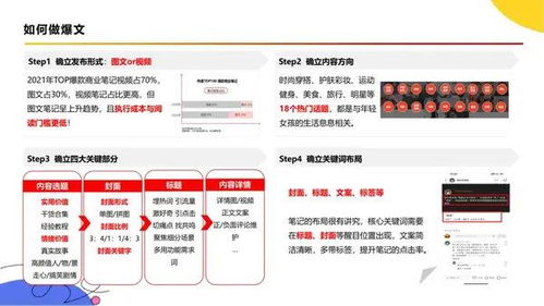 小红书官方下载,实地执行考察方案_超值版1_v4.135