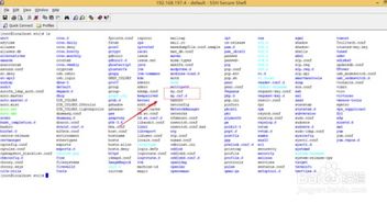 成长王国官方下载,前沿解答解释定义&4K_v3.735