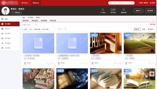 飞箭如蝗 第4页