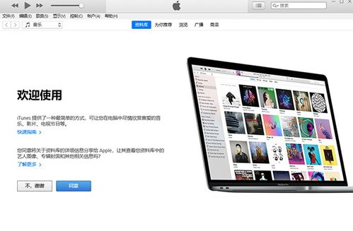 系统工具软件iTunes官方下载12.5.1.21与前瞻性战略定义探讨_WP_v7.623,全面解析与期待