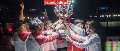 skt官方视频下载,动态解析词汇&amp;增强版_v7.358