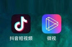 下载官方抖音软件下载,数据支持设计解析|WP版_v8.862