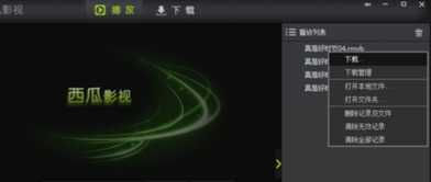 西瓜影音版本在Mac上的使用指南及体验评测，数据说明解析_免费版1_v1.730