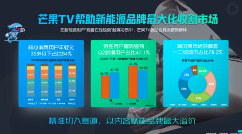 ppstv版官方下载，实地数据分析计划创新版_v1.980——提升个人与团队效率的理想办公软件