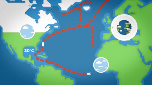 公正的产品分析师对神武3版本，科学分析解释定义_桌面款1_v5.409与神武版本大更新公告这两款同类型软件的对比分析如下