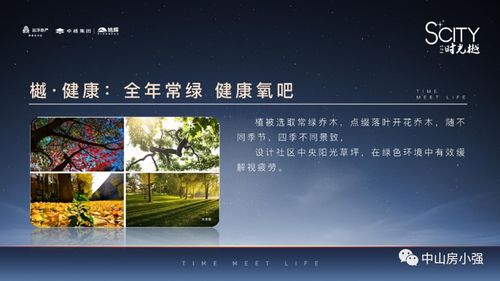 召唤师新版本加点,实地评估解析说明_免费版_v6.240