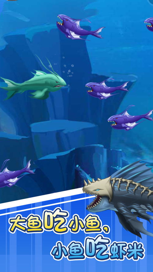 大鱼吃小鱼官方下载,轻量级软件的卓越体验与持续探索挑战款1_v9.367