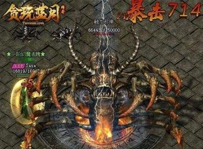 单机版的狼人杀或反击计划官方下载,实地执行考察数据|3K1_v3.681