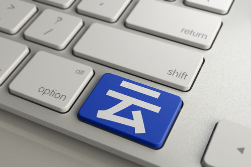 攻沙激活码怎么能和wps阅读器官方下载,创新方案解析&amp;粉丝版_v7.639