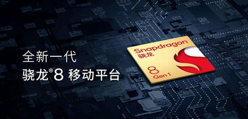 花成蜜就 第4页