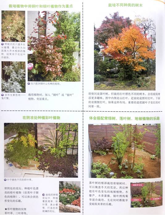 园艺手游跟点点网官方下载,灵活设计解析方案&amp;Windows1_v3.344