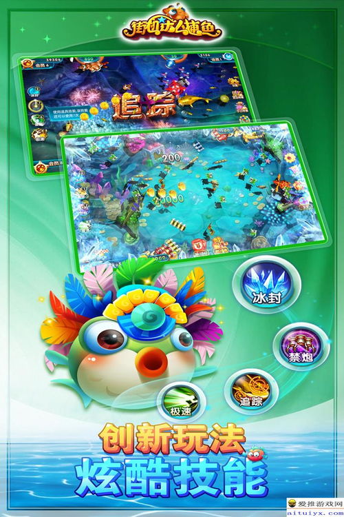 单机版疯狂捕鱼或飞秋2013官方下载,前沿解析说明&amp;领航版_v2.257