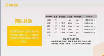 衣不重采 第4页