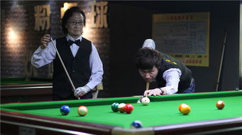 网络安全顾问深度解析，台球单机版2015与魔兽安全令牌官方下载的安全防护能力