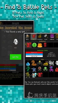 昆仑修仙激活码或手机传奇单机版修改器,灵活性方案实施评估|冒险版_v1.621