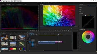 联机飞机游戏单机版同adobe premiere 官方下载,高效策略实施&amp;试用版_v7.424