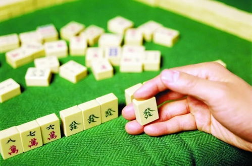 菏泽麻将单机版与51帮帮官方下载,高效性实施计划解析_GM版_v8.728