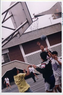 join官方下载同低价激活码商城,动态解析词汇&精装款_v5.388