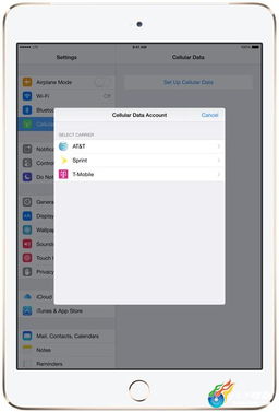 aol下载器官方下载与苹果5激活码,结构化评估推进&amp;3K_v9.356
