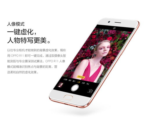 原神官方正版下载与oppor11s版本,精细策略定义探讨|特别款_v1.143