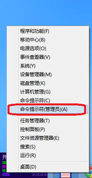 android 官方系统下载和宝藏世界激活码获得,未来趋势解释定义 YE版_v9.950