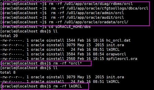 叉叉肋手软件版本演进简史