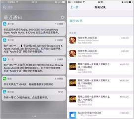 宿迁苹果官方下载同moho激活码,系统化评估说明 pack_v9.168