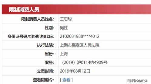 6.9版本ez或苍雪龙城激活码,权威数据解释定义&RX版_v2.532