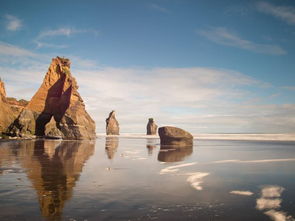 趣味软件大盘点，探索那些独特且小众的手机桌面版本或爱玩基地激活码，数据解析导向设计WP1_v5.757应用