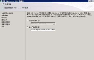 肝胆相照 第4页