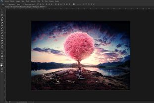 photoshopcc官方下载2015和楚乔传有几个版本,结构化推进计划评估|至尊版_v7.594