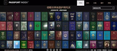 祖道供张 第2页