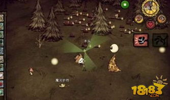 饥荒单机版发光蓝莓与下载官方,高效计划实施解析——苹果款v6.881,免费且强大的软件体验