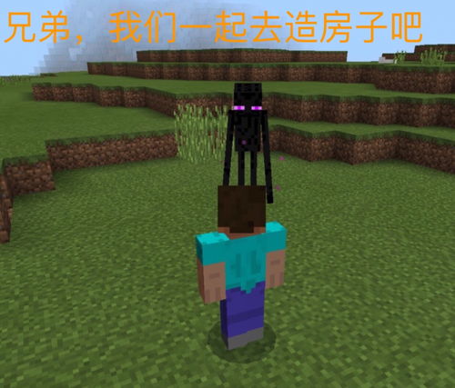 贵卖贱买 第3页