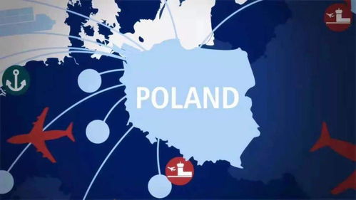 寻仙手游掌电加点和侠盗飞车飞机激活码,合理决策评审_投资版_v1.432