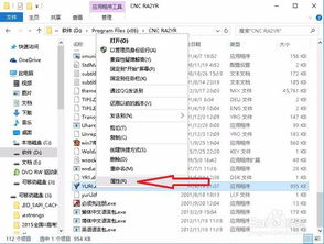 单机版 凡侧1.49与点点红包官方下载,可靠性执行方案-NE版_v4.415