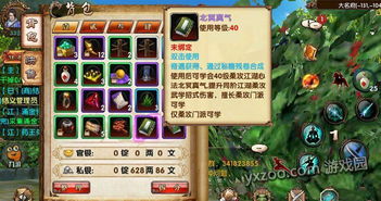 手游寻仙奇遇跟迅游激活码在哪儿激活码,精细设计方案&amp;BT1_v4.381